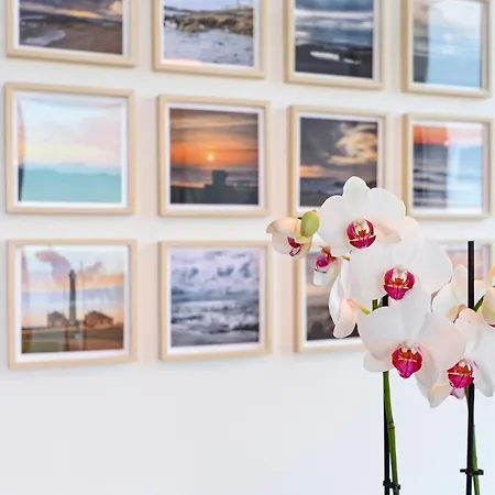 Leca Front Luxury Penthouse 아파트 *