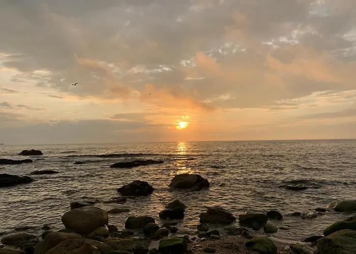 Leca Front Luxury Penthouse 아파트 *