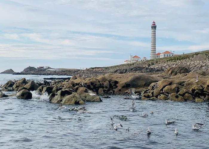 아파트 Leca Front Luxury Penthouse *