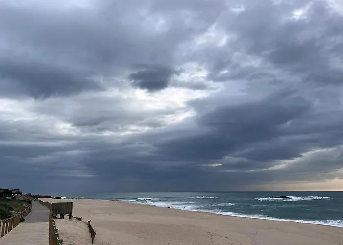 Leça Front Luxury Penthouse Apartamento *